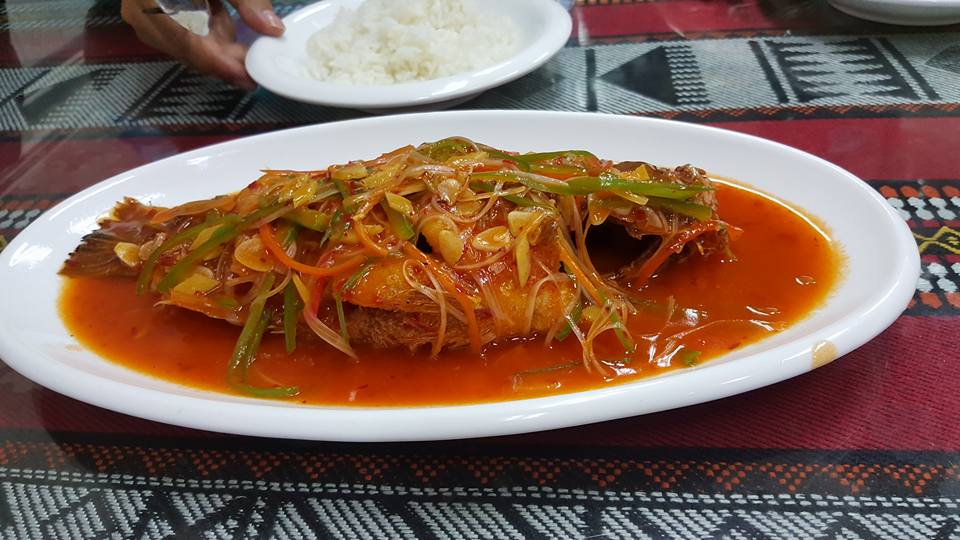 Ikan Siakap Merah