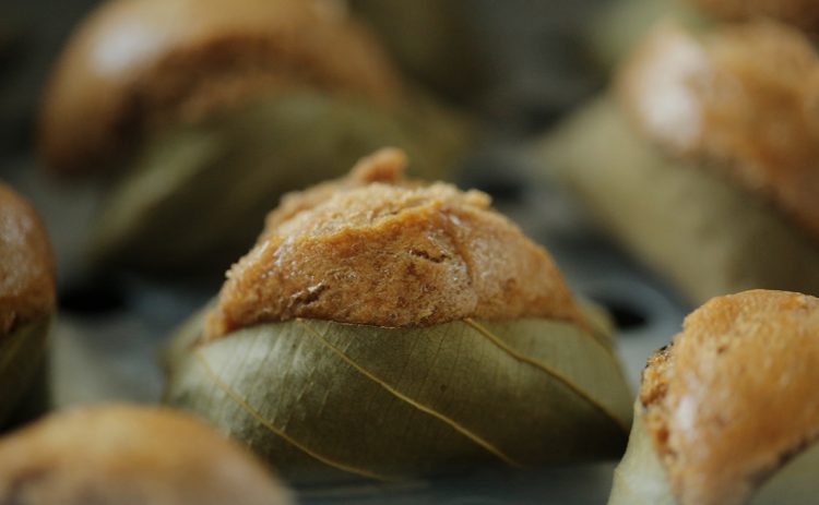 apam johol