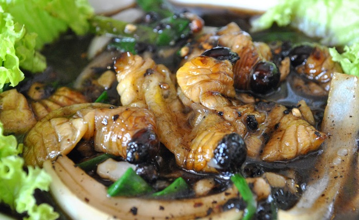 Ulat Mulong