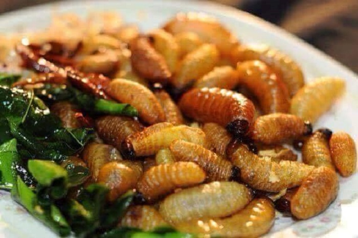 Ulat Mulong