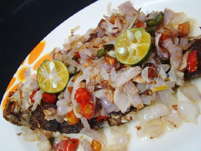 Kasam ikan