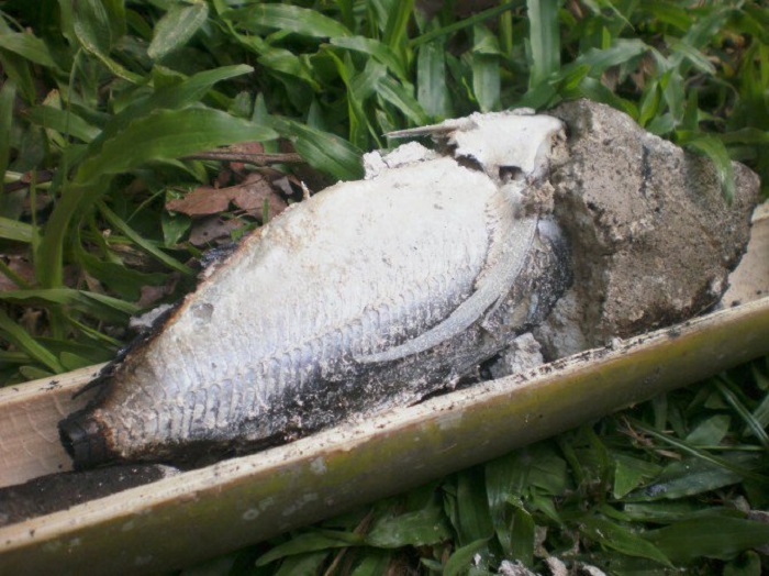 Ikan Bakar Tanah Liat