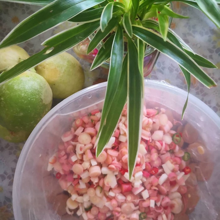 Tuhau