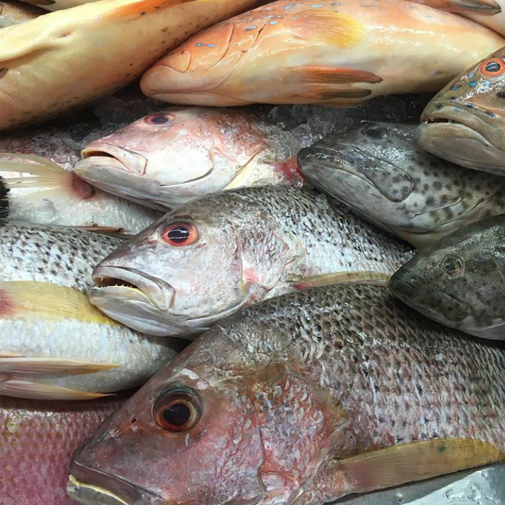 seafood