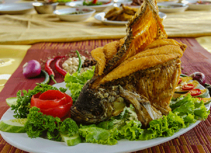 Ikan Terbang Garuda