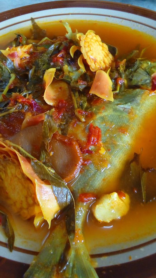 ikan
