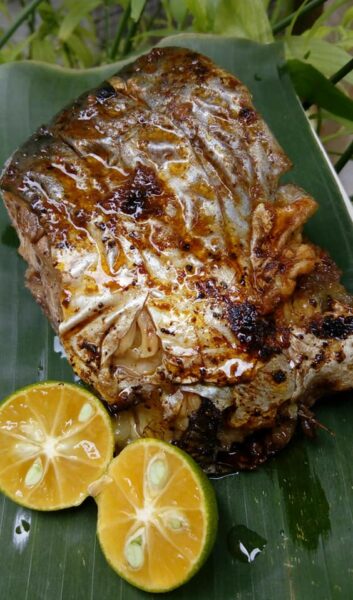 Ikan patin bakar