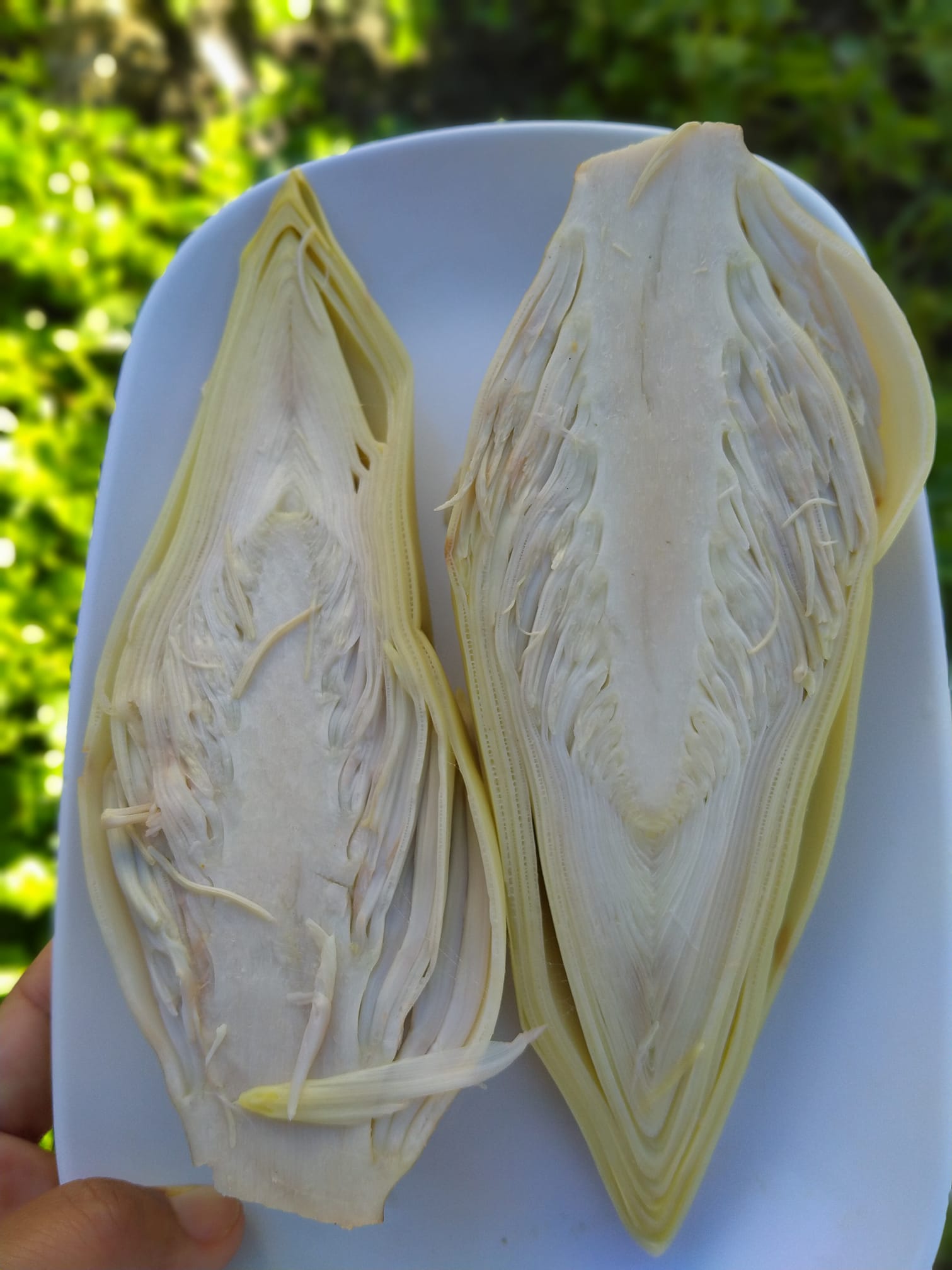 jenis ulam jantung pisang