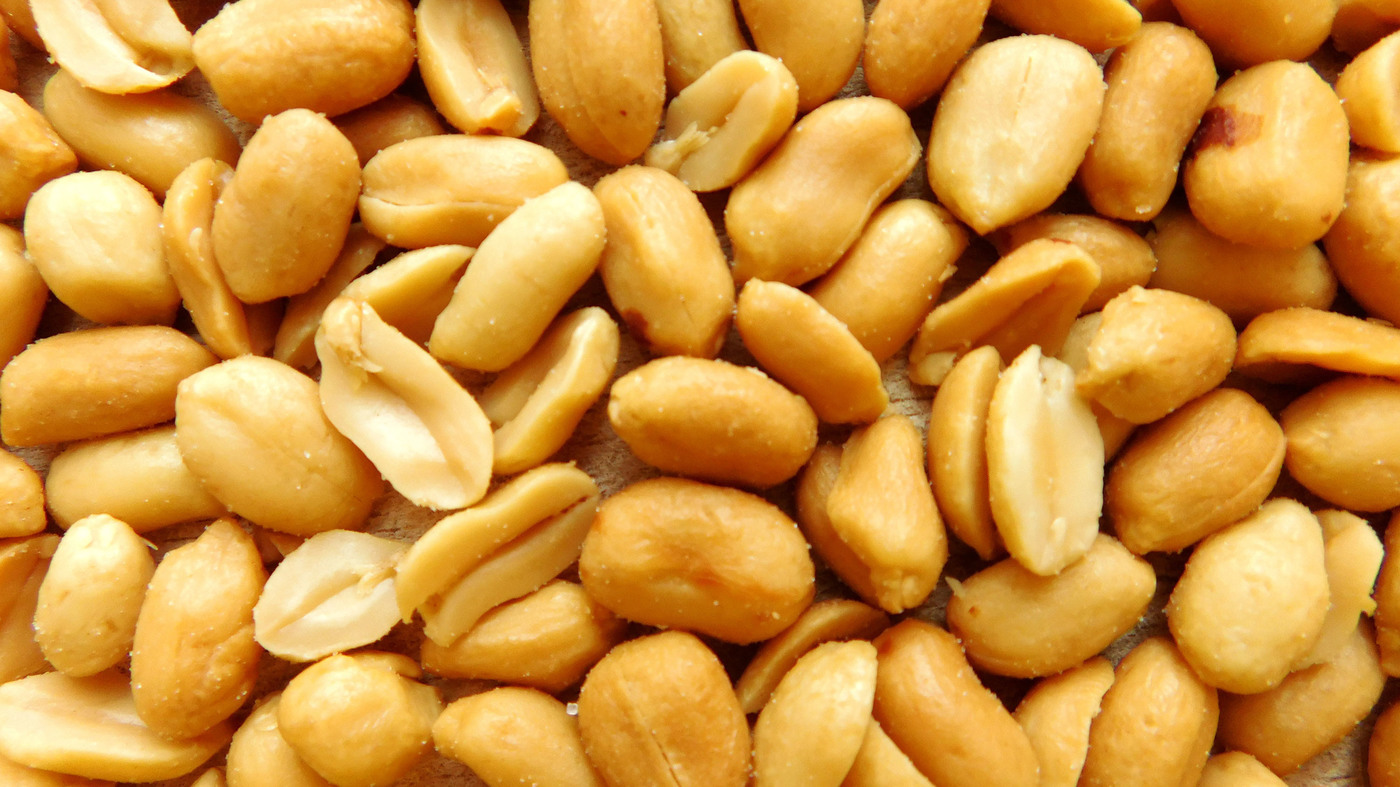 jenis kacang
