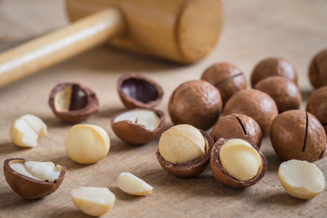 jenis kacang macadamia