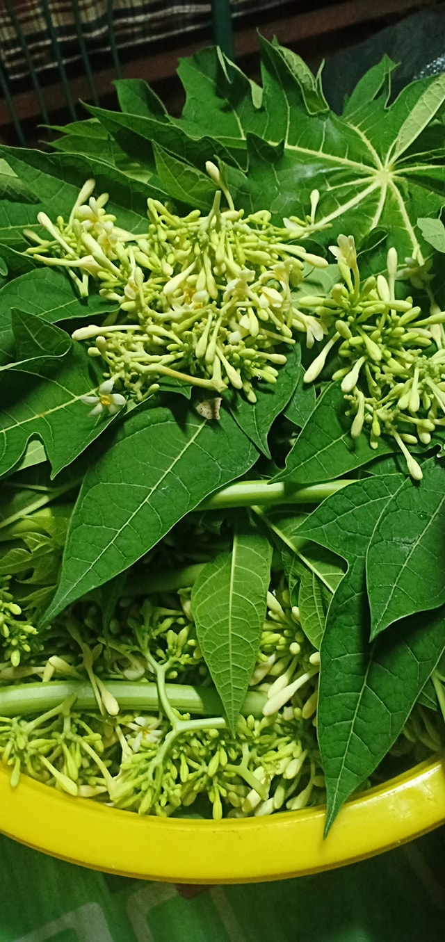 Pelbagai jenis ulam-ulaman tradisional Malaysia dan khasiatnya.