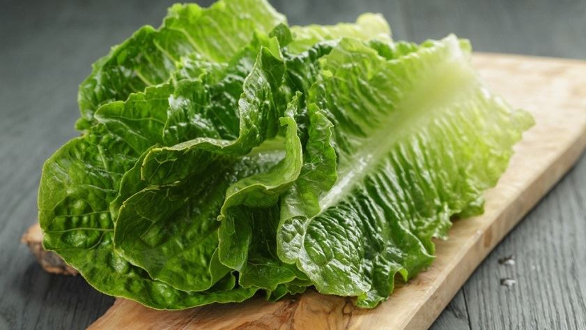 daun salad