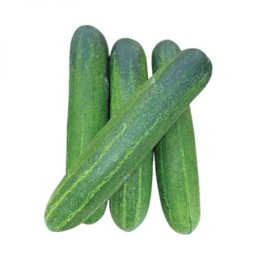 jenis ulam timun