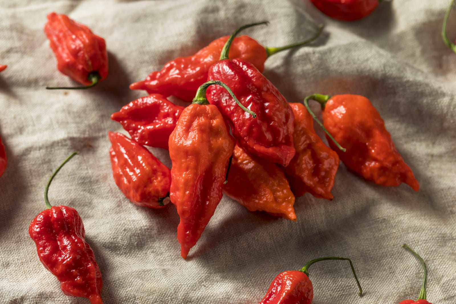 ghost pepper