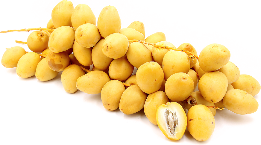 kurma barhi