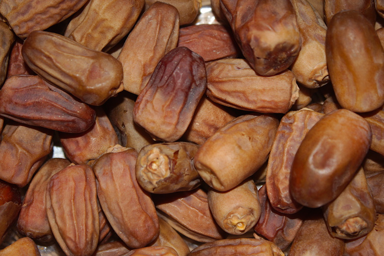 kurma thoory