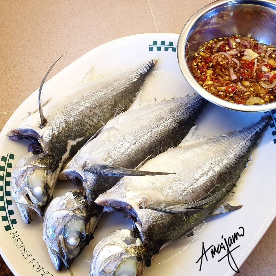 ikan cencaru rebus