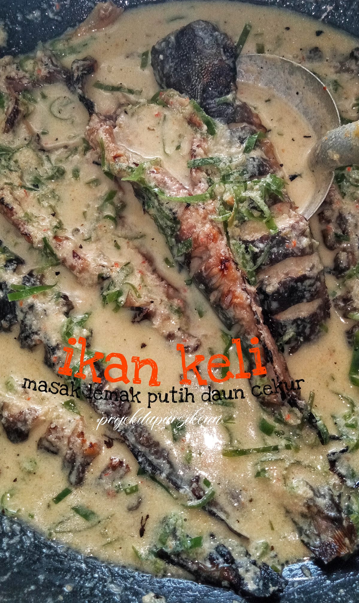 resepi ikan keli - masak lemak putih cekur ikan keli