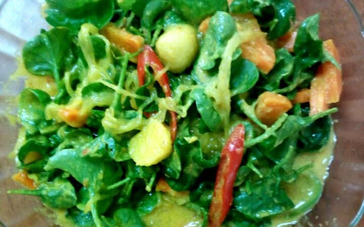 Masak lemak kuning bayam Brazil