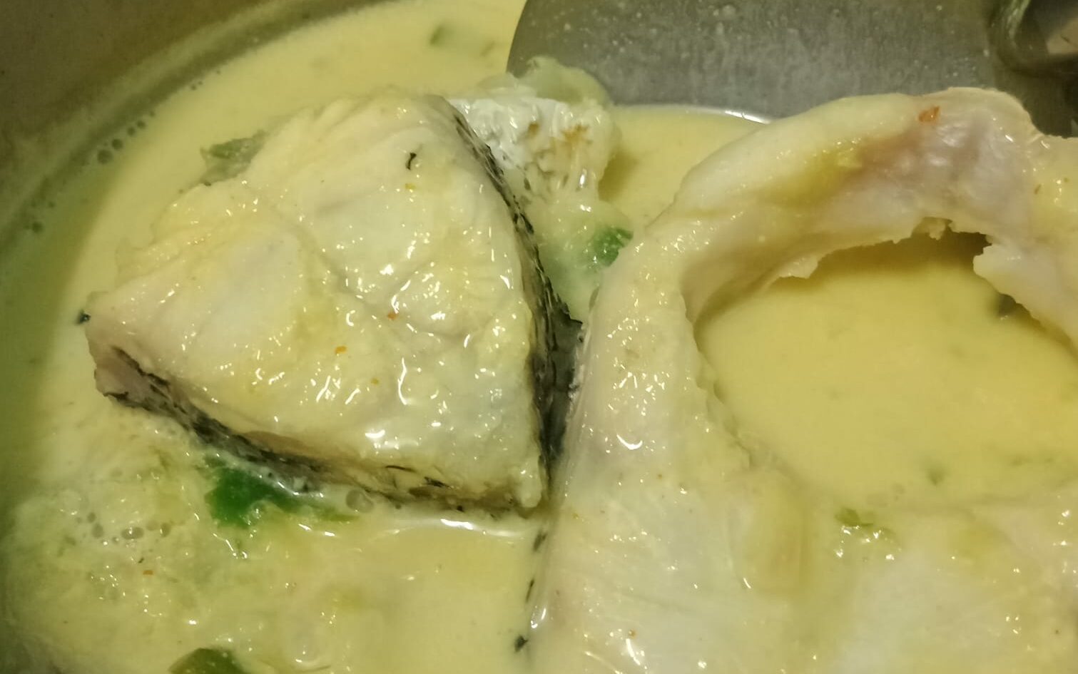Masak lemak ikan Jenahak dengan santan