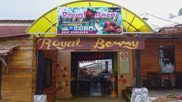 Royal Berry Strawberry Park & Cafe
