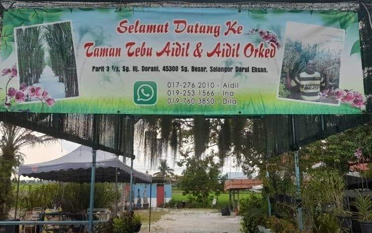 Air tebu segar di dalam gelas plastik.