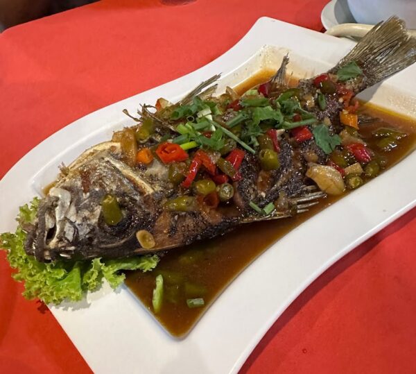 tanjung tirai
